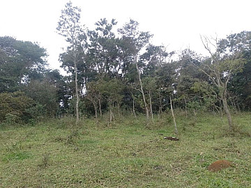 ? Lote � Venda em Bragan�a Paulista ? 2.350 m�